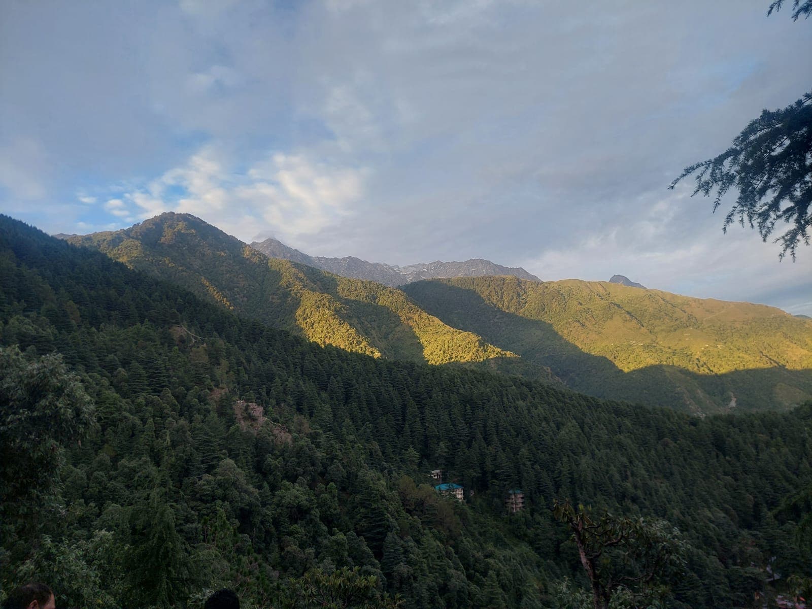 Enjoy chilly winds, snow of Dharamkot